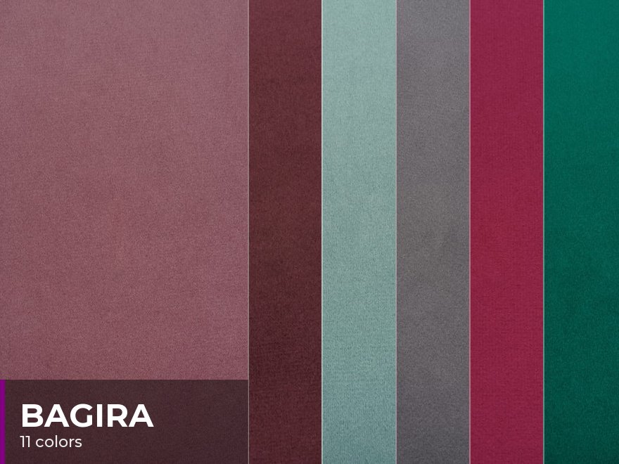 Bagira