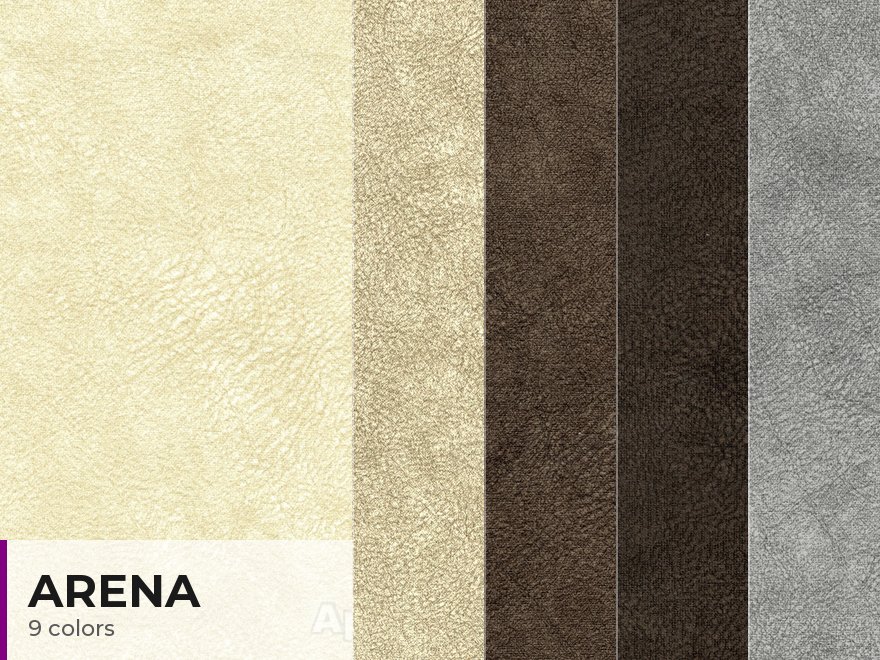 Arena
