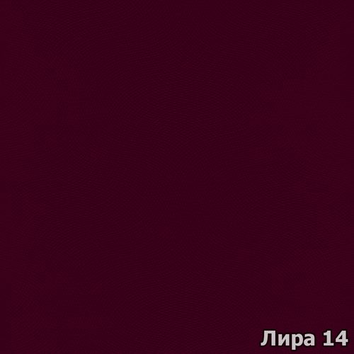 Лира 14