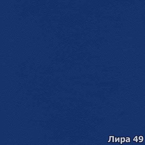 Лира 49