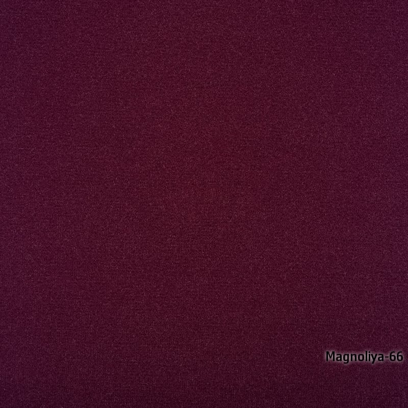 66