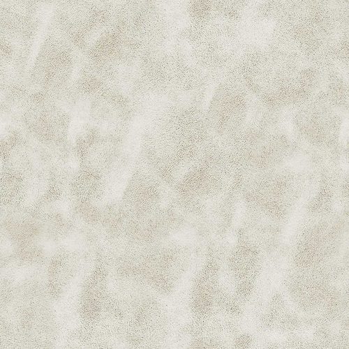 Bone