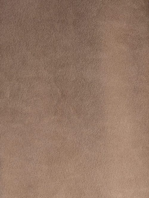 Warm Beige