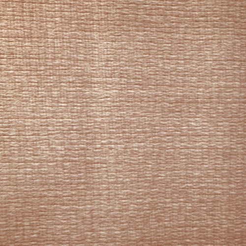 Cool Beige