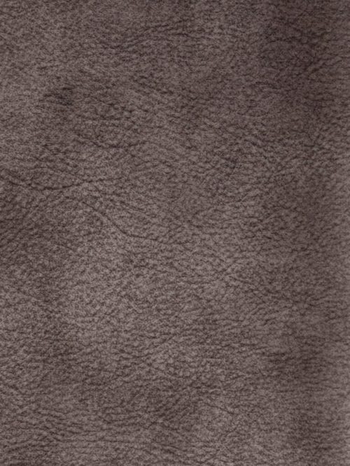 Cocoa