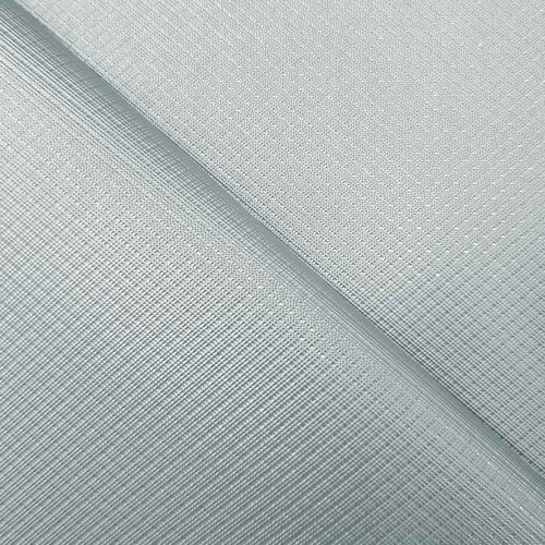 1421 Silver