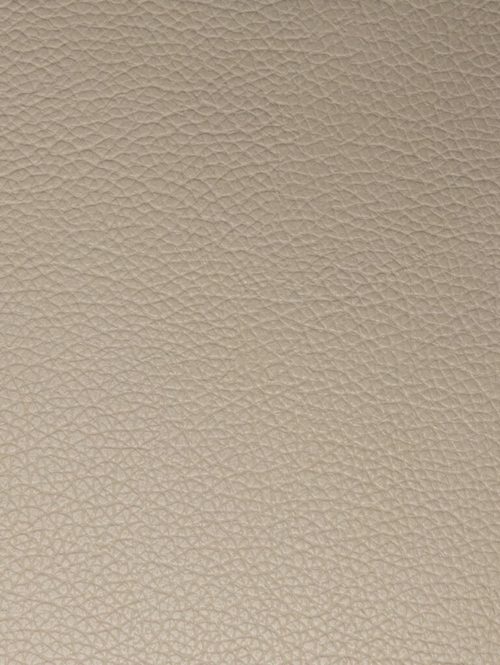 Cool Beige