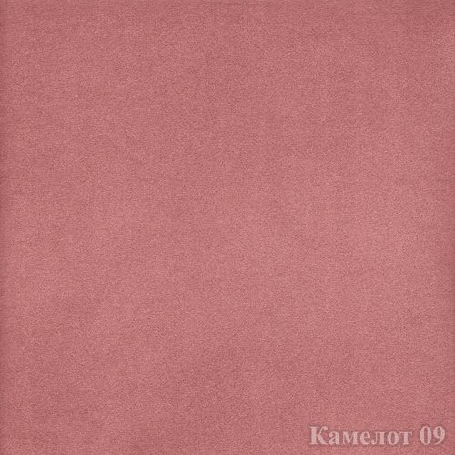 09