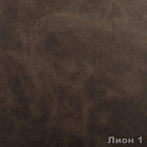 Лион 1