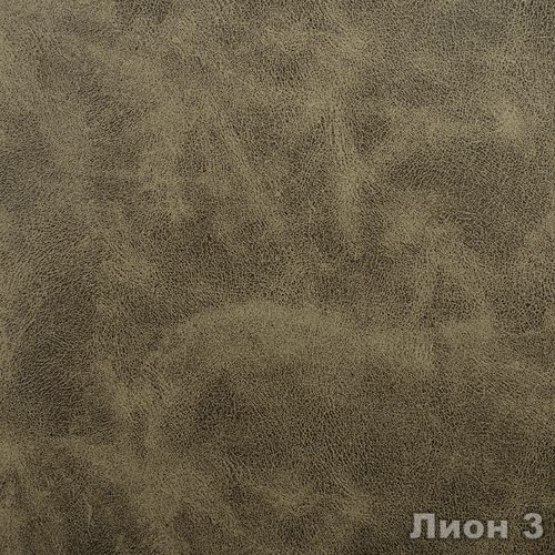 Лион 3