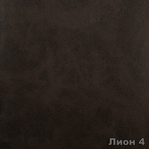 Лион 4