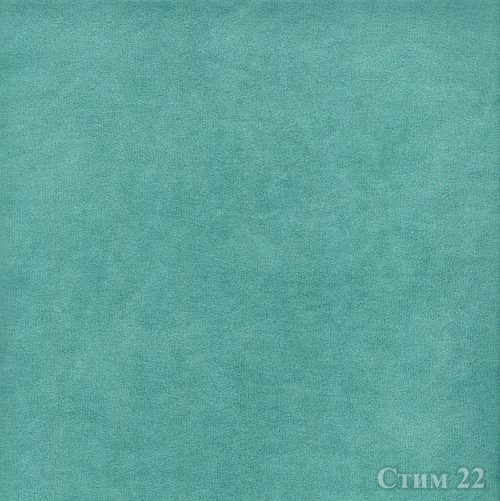 Стим 22