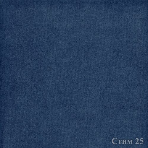 Стим 25