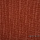 Bahama-19-Carrot