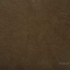 Crocus-22