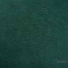 Crocus-88