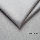 Enjoy-20-Silver