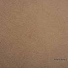 Ameli-Ivory-1