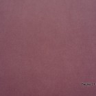 Bagira-14