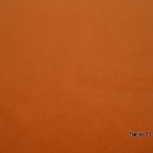 Bagira-24