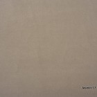 Jasmin-17