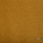 Jasmin-41