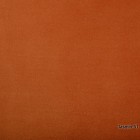 Jasmin-51