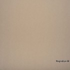 Magnoliya-08