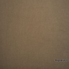 Magnoliya-15