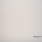 Magnoliya-20