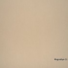 Magnoliya-21