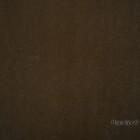Magnoliya-23