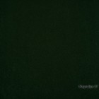 Magnoliya-37