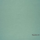 Magnoliya-82