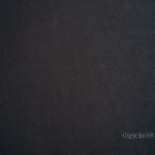 Magnoliya-95