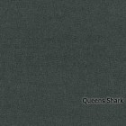 Queens-Shark