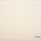 Rokki-01