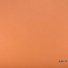 Rokki-47
