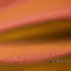 Trinity 17 Orange