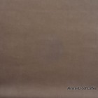 Almira-02-SoftCoffee
