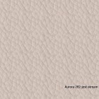 Aurora-282-jest-stream