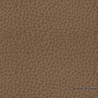 Aurora-285-tanin