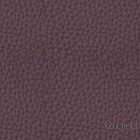 Aurora-881-antler