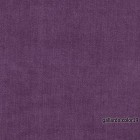 gallardo.color19