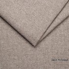 Jazz-4-Fossil