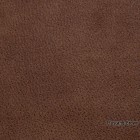 Mustang-Brown