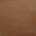 Mustang-GOLD