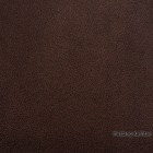 Mustang-Kashtan