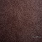 Mustang-Purple