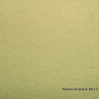 Madras-Perlamutr-Mint-4